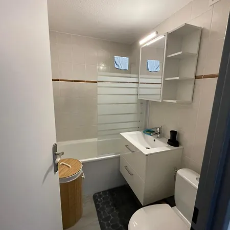 Apartment Duplex De 40m2 Avec Piscine A En Roussillon *