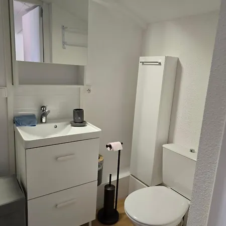 Apartment Duplex De 40m2 Avec Piscine A En Roussillon