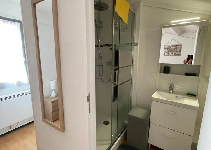 Апартаменты Duplex De 40m2 Avec Piscine A En Roussillon Кане