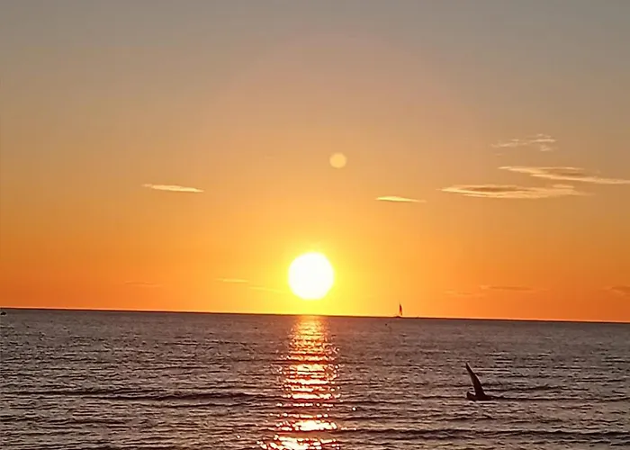 Duplex De 40m2 Avec Piscine A En Roussillon カネ