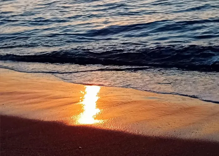 Duplex De 40m2 Avec Piscine A En Roussillon カネ